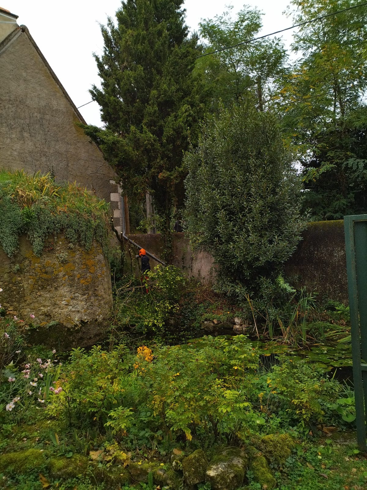 IMG-20241010-WA0001[1]